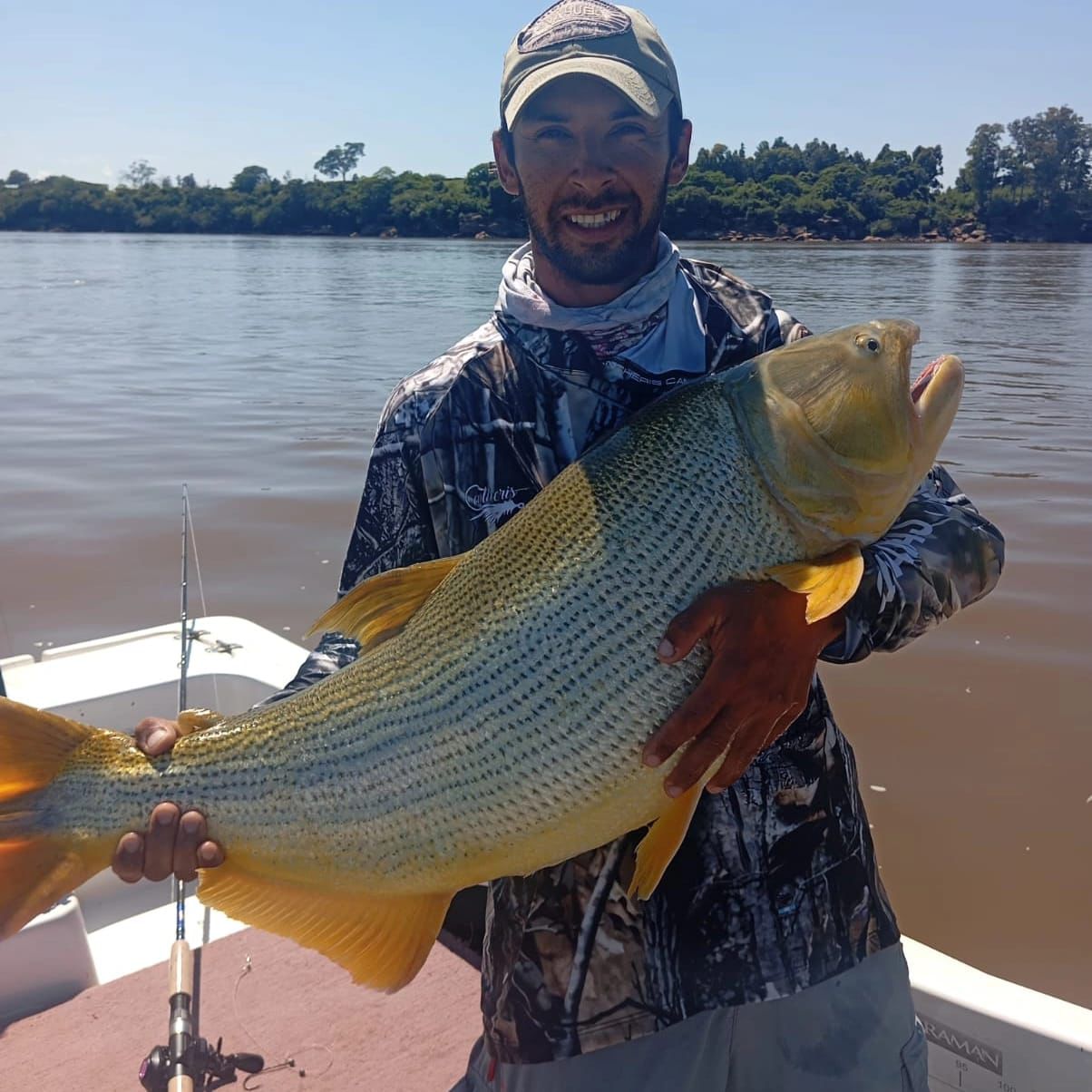 Dorado capturado durante una jornada de pesca en el Litoral